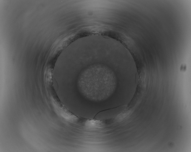 X0000110700137200907101230