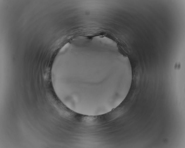 X0000110700139200907101230