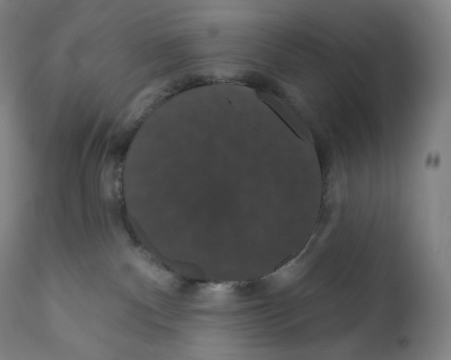 X0000110700140200907101230