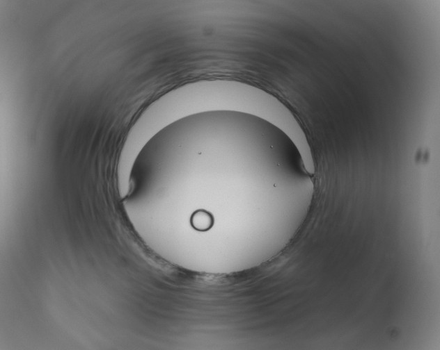 X0000110700141200907101229