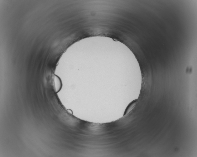 X0000110700142200907101229