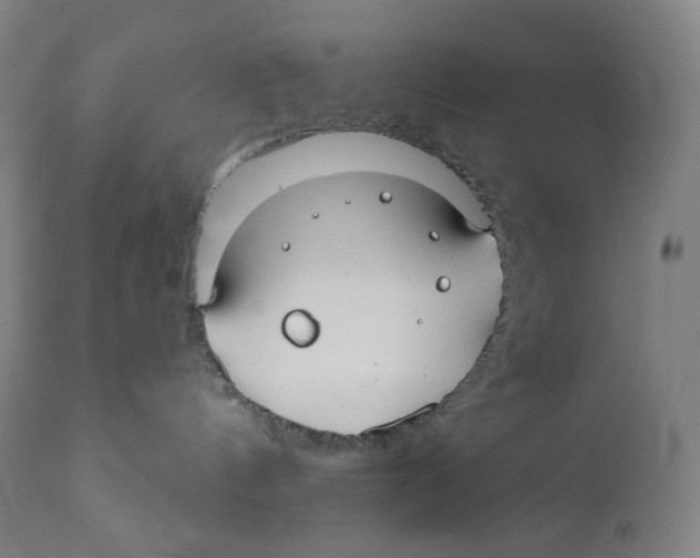X0000110700144200907101229