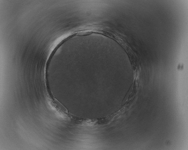X0000110700148200907101229