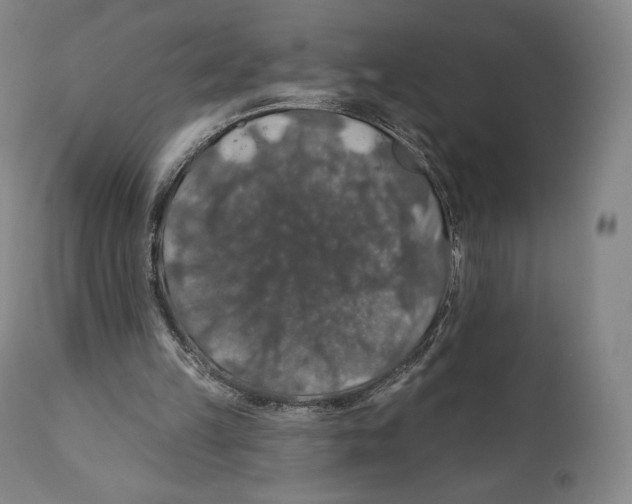 X0000110700149200907101229