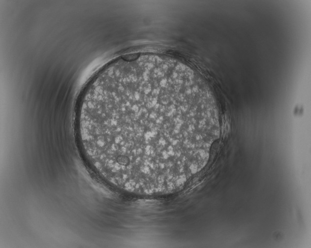 X0000110700150200907101229