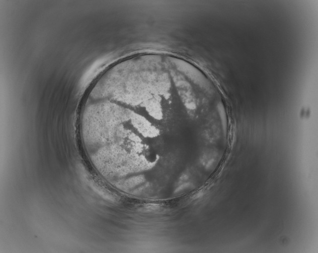 X0000110700151200907101229