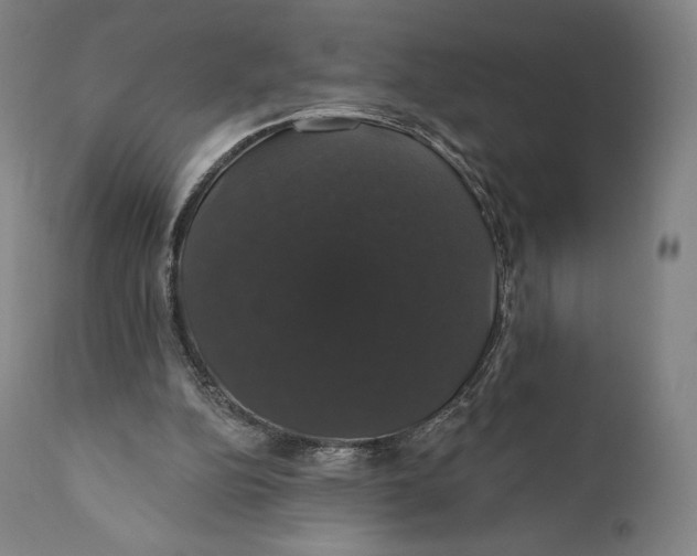 X0000110700152200907101229