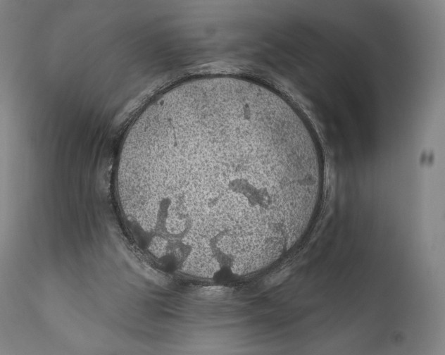 X0000110700153200907101229