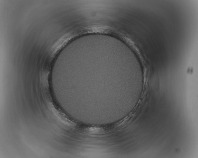 X0000110700154200907101229