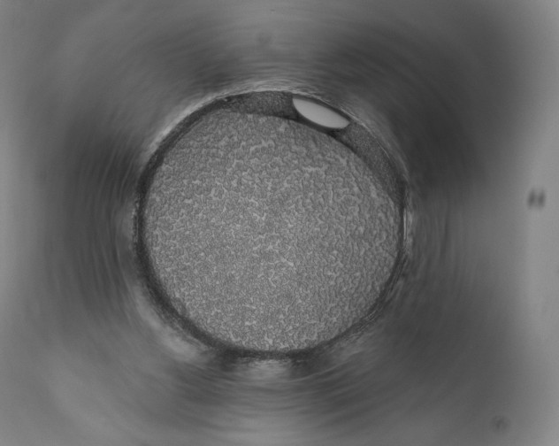 X0000110700156200907101229