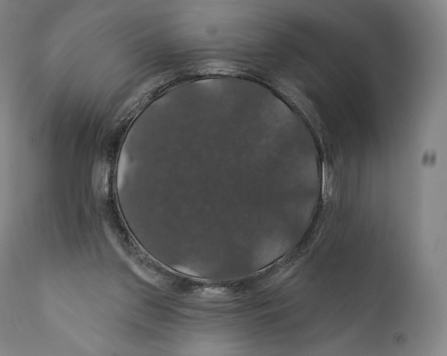 X0000110700157200907101229