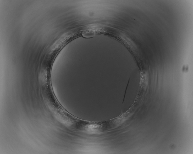 X0000110700158200907101229