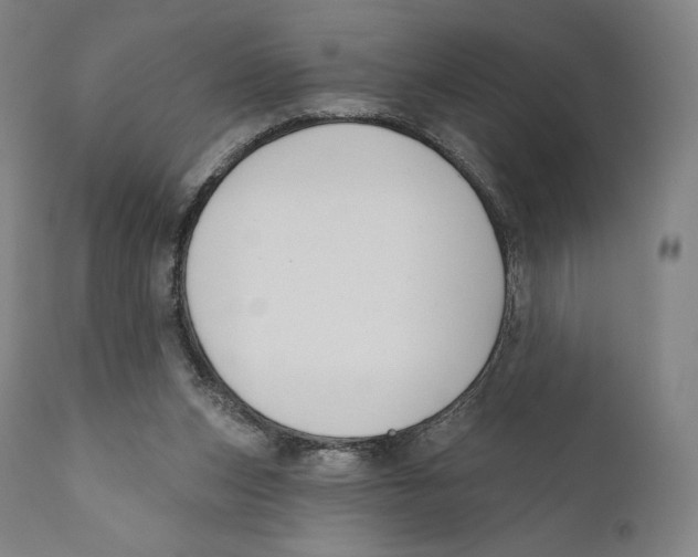 X0000110700159200907101229