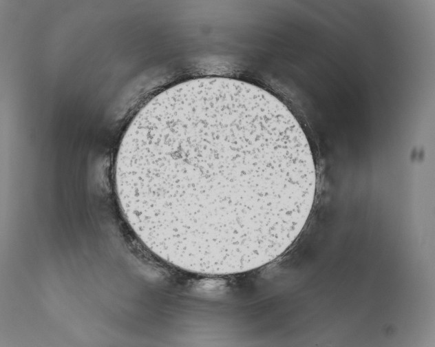 X0000110700162200907101229