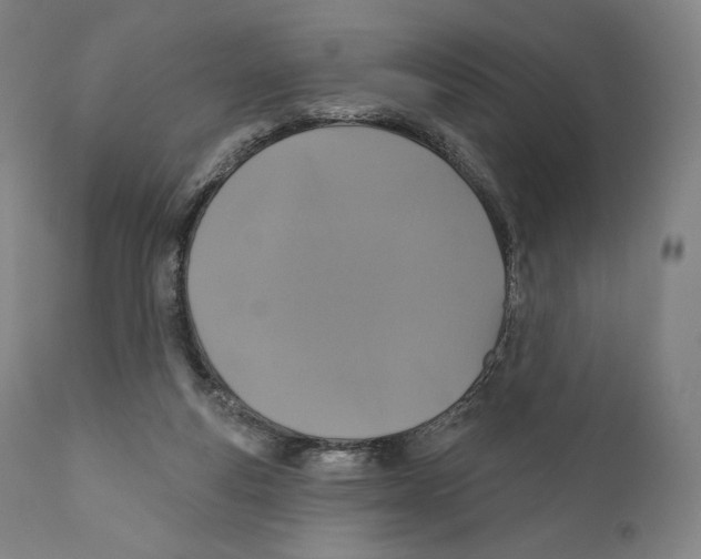 X0000110700163200907101229