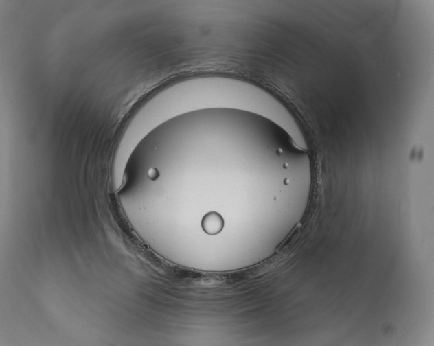 X0000110700164200907101229