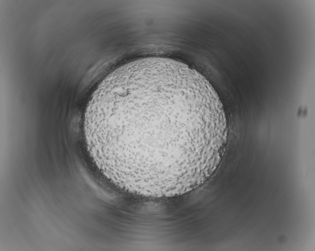 X0000110700166200907101229