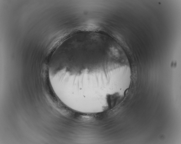 X0000110700167200907101229