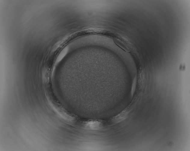 X0000110700168200907101229