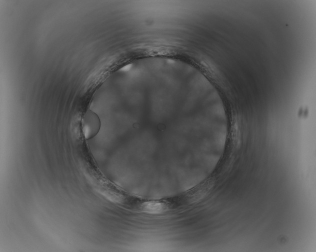 X0000110700169200907101229