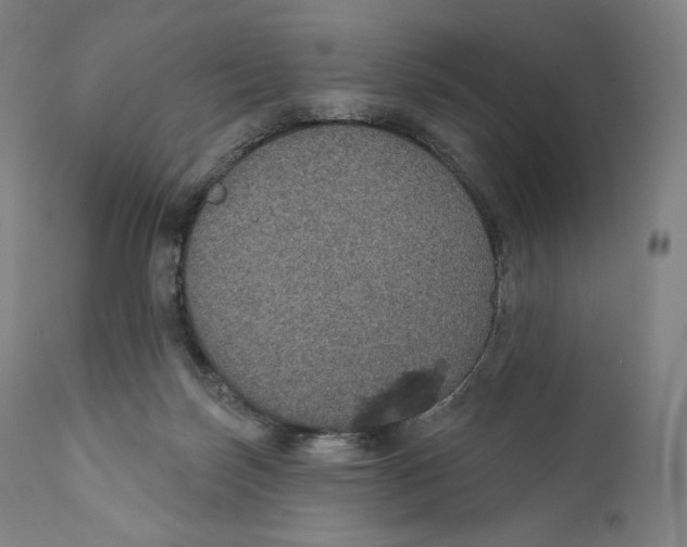 X0000110700171200907101229