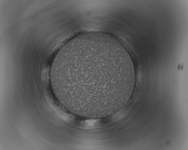 X0000110700172200907101229