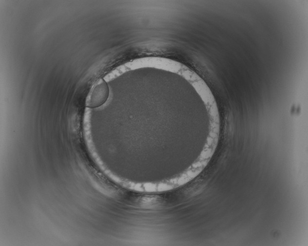 X0000110700173200907101229