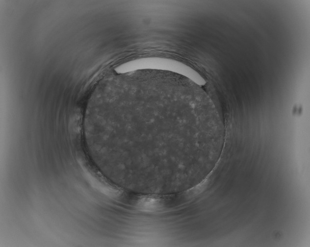 X0000110700174200907101229