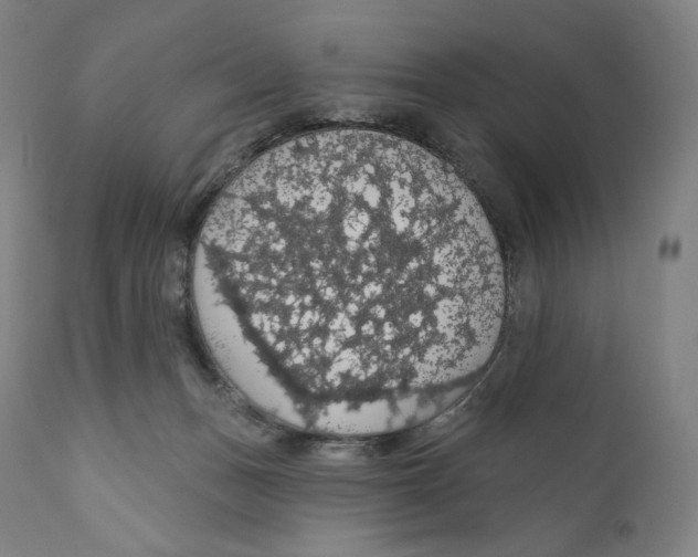 X0000110700175200907101229
