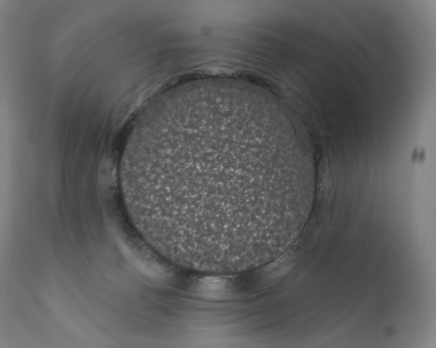 X0000110700176200907101229