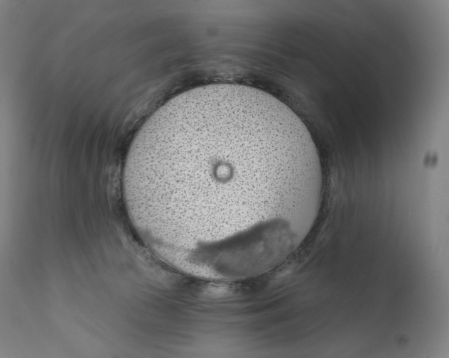 X0000110700177200907101229