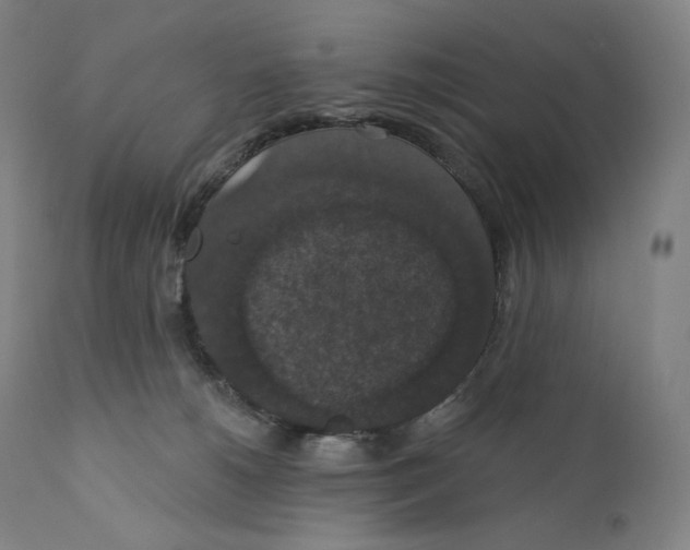 X0000110700180200907101229