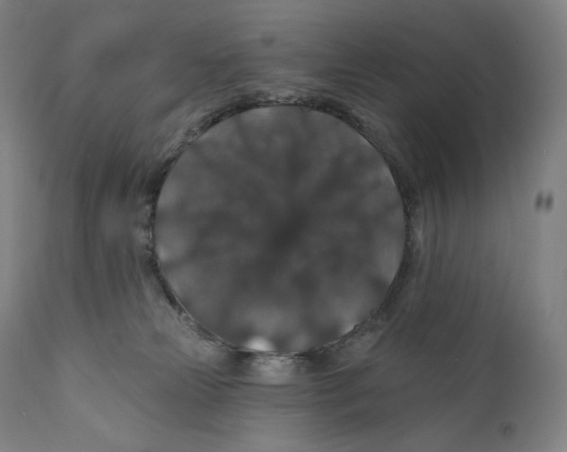 X0000110700181200907101229