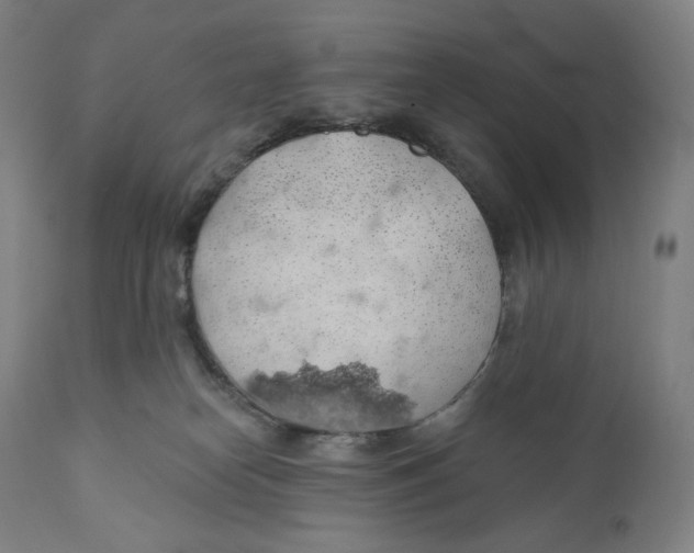 X0000110700182200907101229
