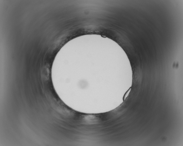 X0000110700183200907101229