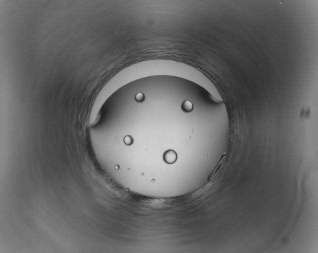 X0000110700184200907101229
