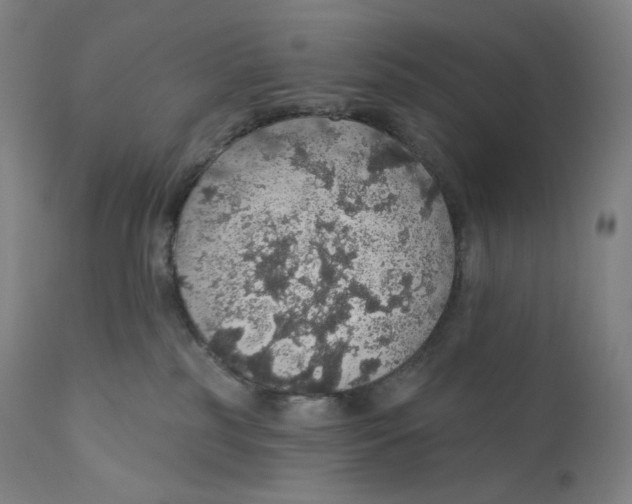 X0000110700185200907101229