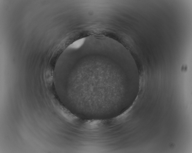 X0000110700186200907101229