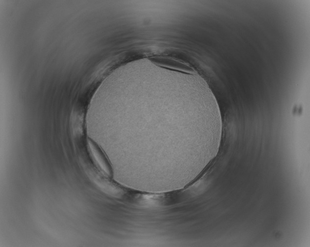 X0000110700188200907101229