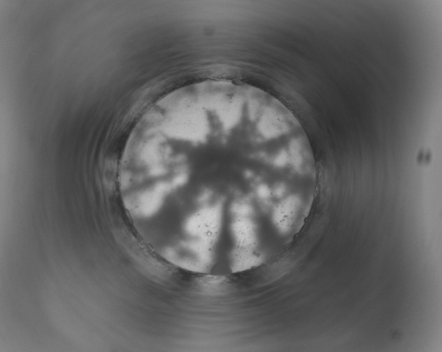 X0000110700189200907101229
