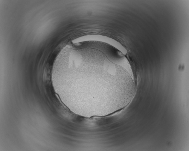 X0000110700190200907101229