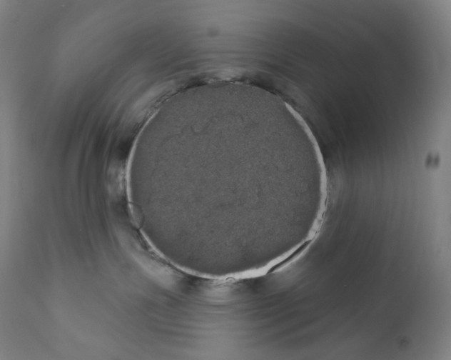 X0000110700191200907101229