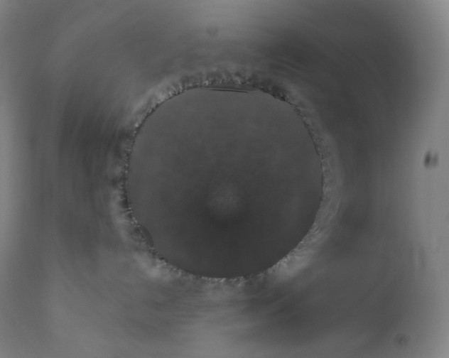 X0000110700192200907101229