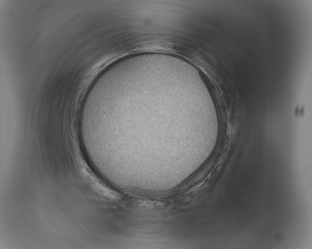 X0000110700193200907101229