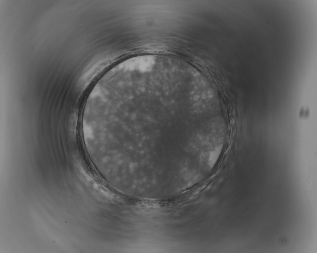 X0000110700194200907101229
