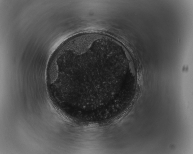 X0000110700196200907101229