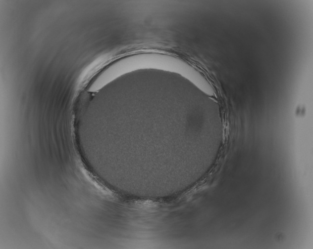 X0000110700197200907101229