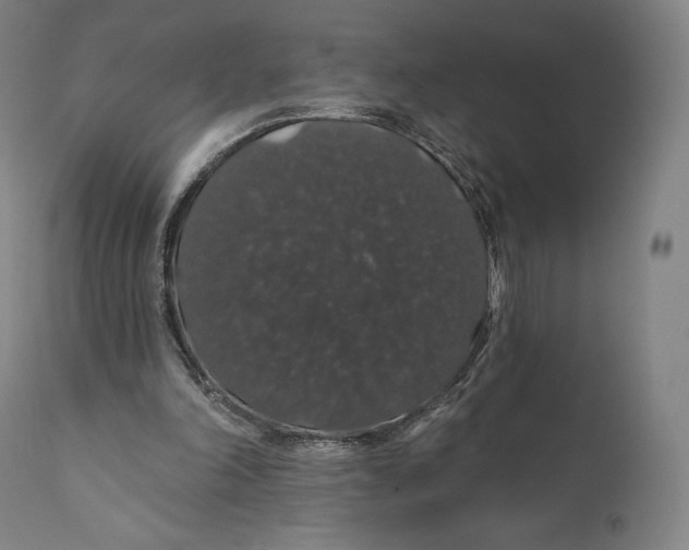 X0000110700198200907101229