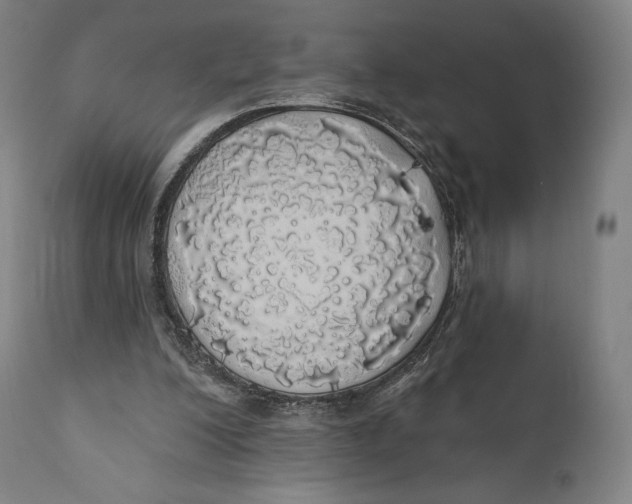 X0000110700200200907101229