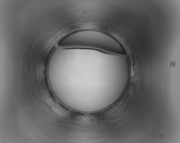 X0000110700201200907101229